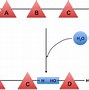 Image result for Product of Amide Hydrolysis