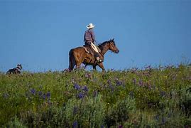 Image result for Dressing Like a Cowboy