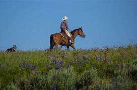 Image result for Modern Cowboy Look