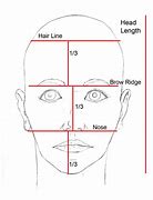 Image result for Face Proportions Drawing Practice