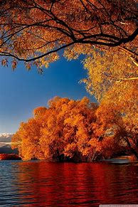 Image result for 1280X1024 Fall Wallpaper