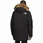 Image result for North Face Men's Parka