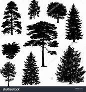 Image result for Cypress Tree Vector