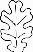 Image result for Oak Leaf Outline