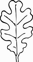 Image result for Coloring Picture of Leaf