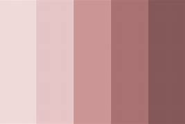 Image result for Dusty Rose Color Palette