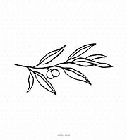 Image result for Single Olive On a Branch