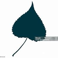 Image result for Aspen Leaf Limb Silhouette