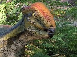 Image result for Dinosaur Coloring Sheets