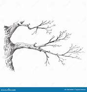 Image result for Tree Branch Pencil Drawing