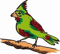 Image result for Bird Perched On a Branch