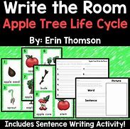 Image result for Apple Tree Life Cycle Worksheet for Kids