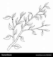 Image result for Tree Branch with Leaves Drawing