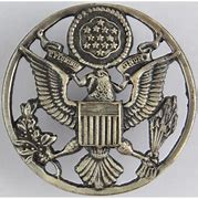 Image result for United States Air Force Insignia