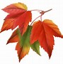 Image result for Fall Leaf Shapes Printable