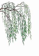 Image result for Willow Tree Branch Clip Art