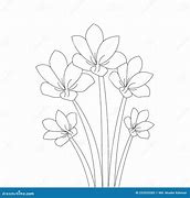 Image result for Branch Coloring Page for Kids