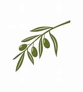 Image result for Olive Branch Icon Free