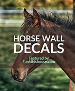 Image result for Horse Wall Decals