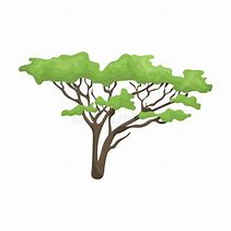 Image result for Safari Tree Cartoon