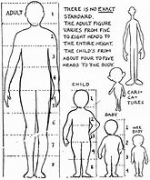 Image result for Drawing Children Proportions