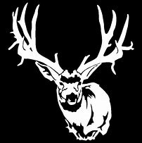 Image result for Mule Deer Skull Clip Art