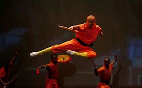 Image result for Kung Fu Karate