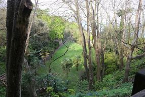 Image result for Tree Top View Silhouette