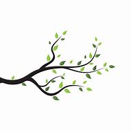 Image result for Tree Branch Logo