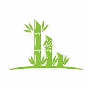 Image result for Bamboo Growing in Soil Logo