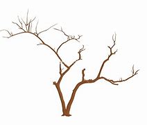 Image result for Halloween Tree Branch