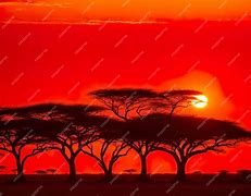 Image result for African Sunrise Drawing