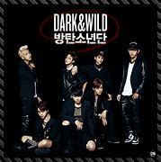 Image result for BTS Dark and Wild Album Cover