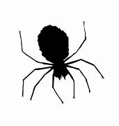 Image result for Halloween Spider Clip Art