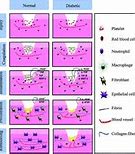 Image result for RSC Periodic Table