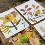 Image result for Leaf Art Kids