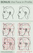 Image result for Face Proportions Drawing Practice