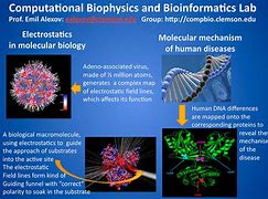 Image result for biophysics techniques