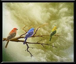 Image result for Birds On Tree Branches Paintings