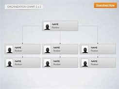 Image result for Organization Chart Keynote