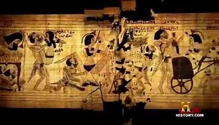 Image result for Turin Exotic Papyrus