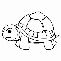 Image result for Turtle Coloring Pages for Kids