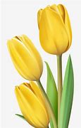 Image result for Free Spring Tulips Border Clip Art