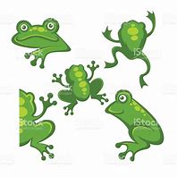 Image result for Frog Jumping From a Pit