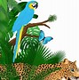 Image result for Tropical Rainforest Animals Coloring Pages