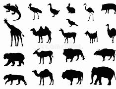 Image result for Cool Animals Silhouette Image