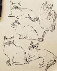 Image result for Cat Jumping Drawing