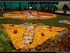 Image result for August Birth Month Flower