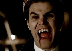 Image result for Vampire Diaries Book Series Stefan Diaries