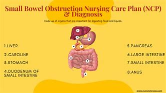 Image result for Nursing Bowel Movement Chart